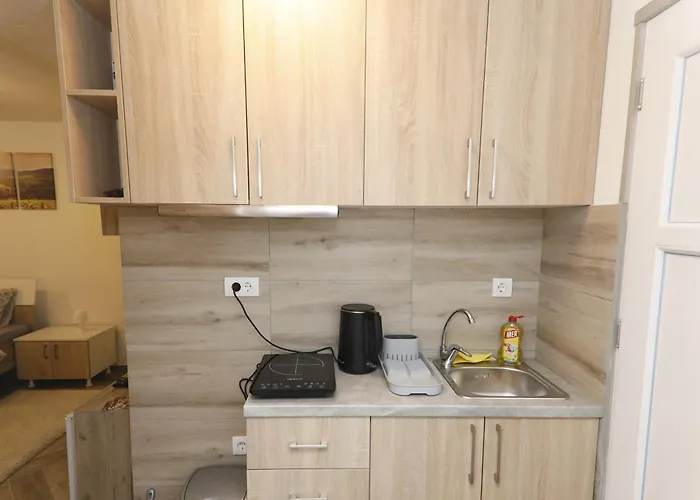 Apartment Andjela&luka Sremski Karlovci